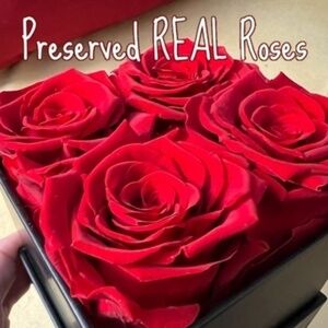 Preserved REAL Rose Gift Box-4 Forever Red Roses in a Box NWT